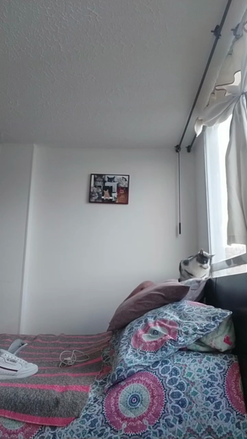 PollyGrey 23-10-2021 Pretty 